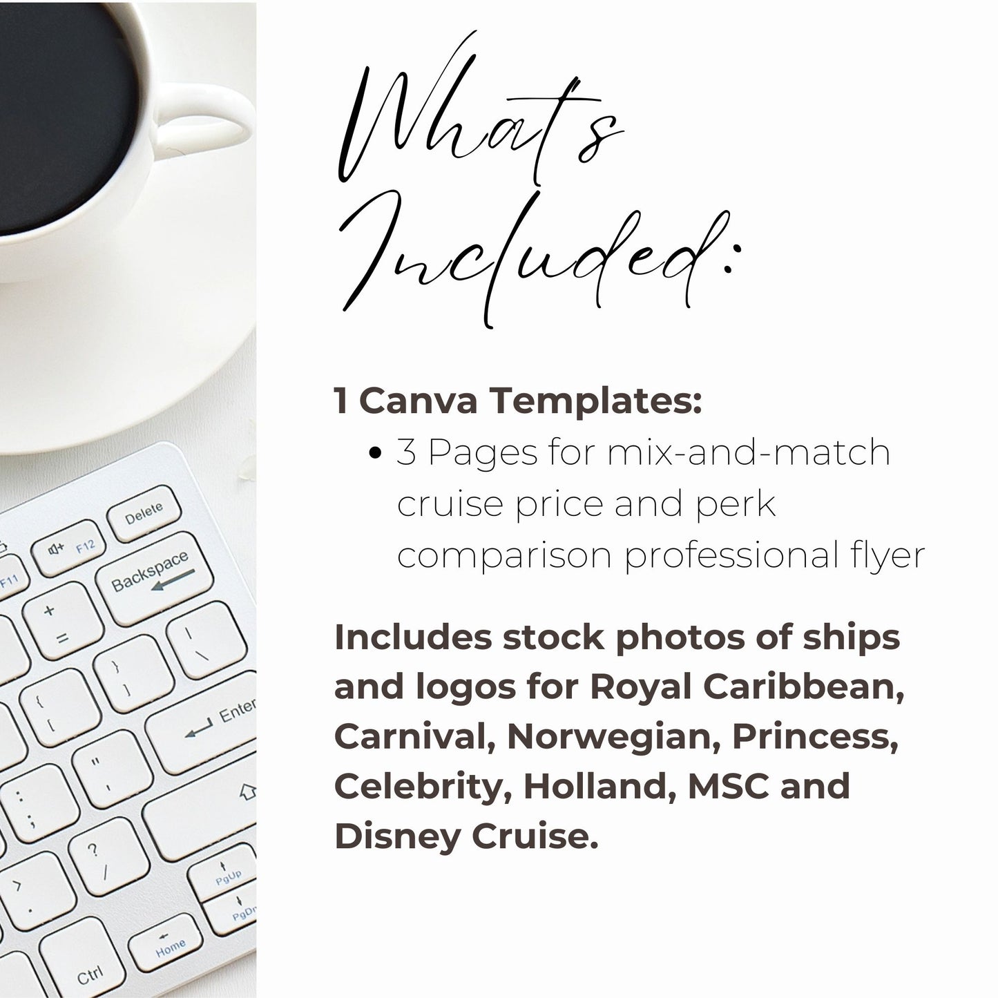 Cruise Perks and Company Comparison Flyer made in Canva